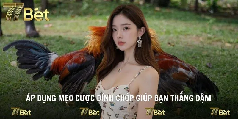 Áp dụng mẹo cược đỉnh chóp giúp bạn thắng đậm