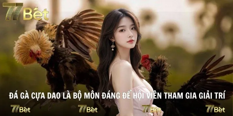 Đá gà cựa dao là bộ môn đáng để hội viên tham gia giải trí