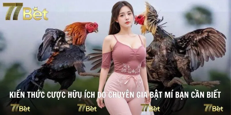 Kiến thức cược hữu ích do chuyên gia bật mí bạn cần biết